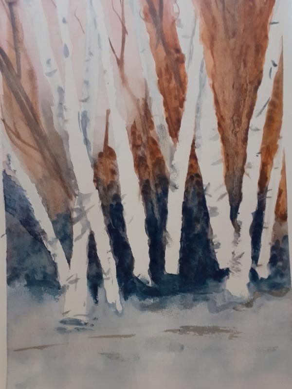 Img 20240204 wa0003 1