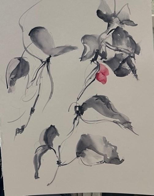 Img 8462 copie copie 2 